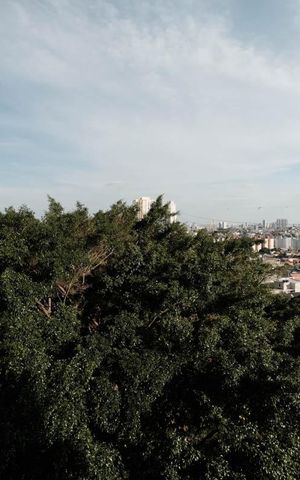 Apartamento à venda com 39m², 2 quartos e sem vagaQuarto 1 vista 