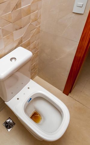 Apartamento à venda com 262m², 4 quartos e 4 vagasBanheiro da Suíte 2