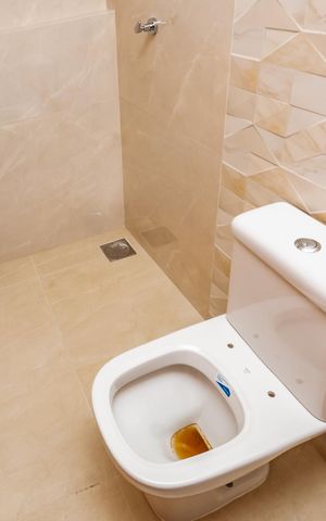 Apartamento à venda com 262m², 4 quartos e 4 vagasBanheiro da Suíte 2