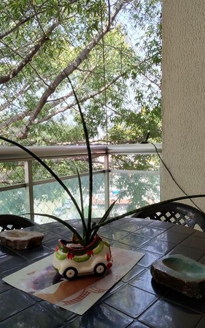 Apartamento à venda com 182m², 3 quartos e 1 vaga Apartamento à venda com 182m², 3 quartos e 1 vagaVaranda