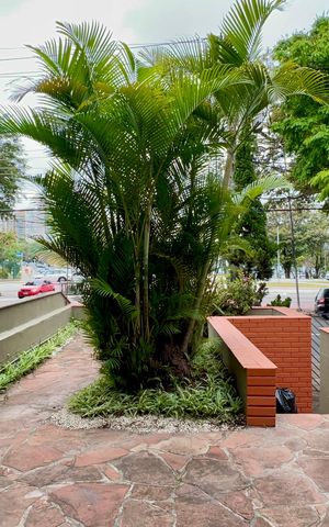Casa para alugar com 306m², 4 quartos e 4 vagas Casa para alugar com 306m², 4 quartos e 4 vagasQuintal