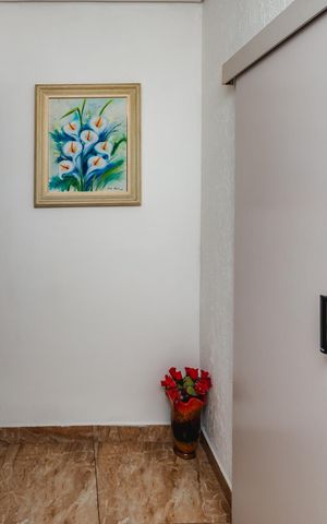 Casa à venda com 300m², 2 quartos e 5 vagasCorredor