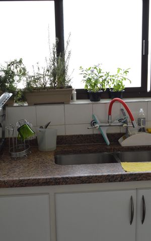 Apartamento à venda com 468m², 4 quartos e 8 vagasCozinha