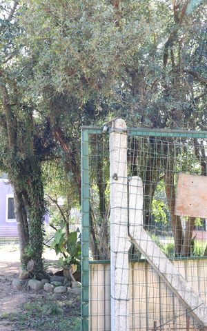 Casa para alugar com 200m², 4 quartos e 6 vagasPlaca