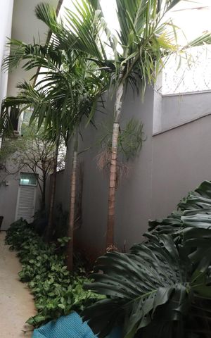Casa para alugar com 490m², 4 quartos e 4 vagasJardim