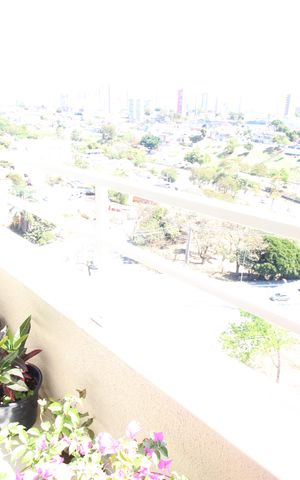 Apartamento para alugar com 62m², 2 quartos e 1 vagaSacada da Sala