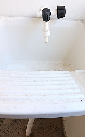 Apartamento para alugar com 48m², 1 quarto e sem vagaLavanderia