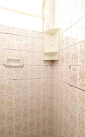 Apartamento para alugar com 48m², 1 quarto e sem vagaBanheiro