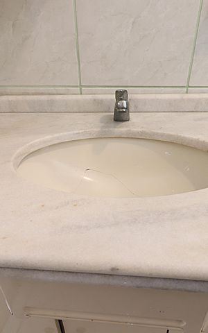 Apartamento à venda com 54m², 2 quartos e 1 vagaBanheiro
