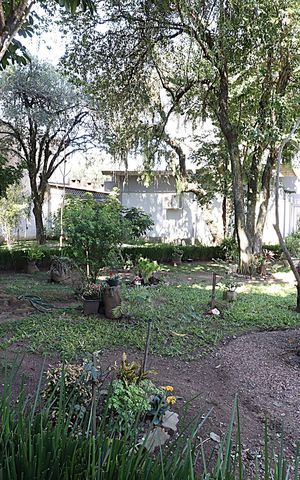 Apartamento à venda com 54m², 2 quartos e 1 vagaÁrea comum