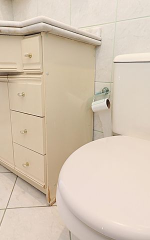Apartamento à venda com 54m², 2 quartos e 1 vagaBanheiro