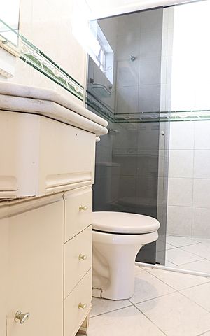 Apartamento à venda com 54m², 2 quartos e 1 vagaBanheiro