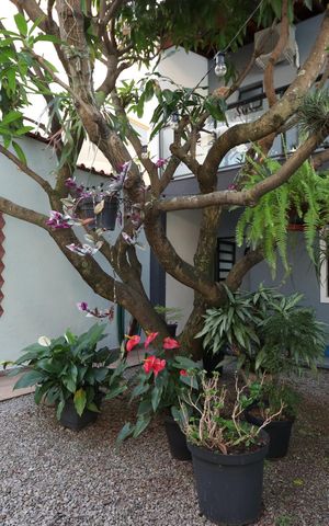 Casa à venda com 260m², 4 quartos e 2 vagasQuintal Ajardinado