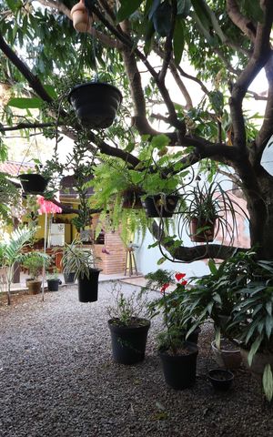 Casa à venda com 260m², 4 quartos e 2 vagasQuintal Ajardinado