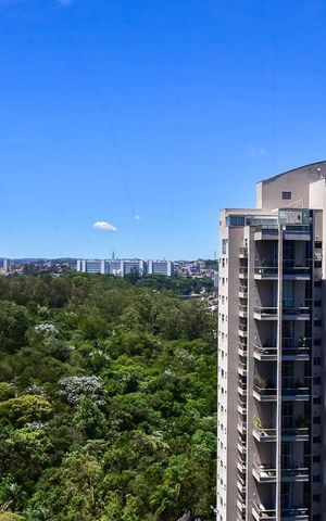 Apartamento à venda com 288m², 4 quartos e 4 vagasVista da Suíte 3