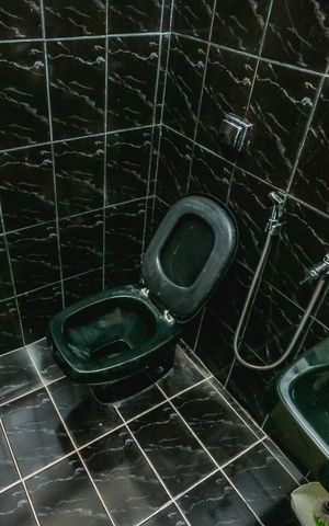 Casa para alugar com 360m², 2 quartos e 3 vagasBanheiro Social