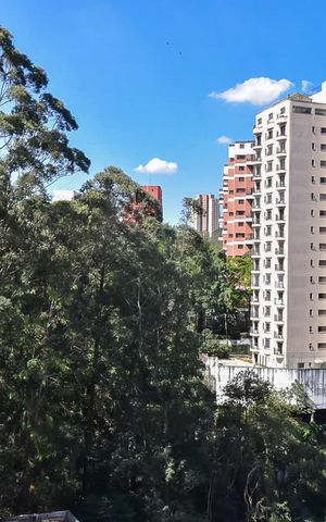Apartamento para alugar com 269m², 4 quartos e 2 vagasVista do Quarto 1