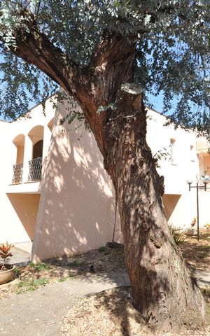 Casa para alugar com 650m², 4 quartos e 4 vagasJardim