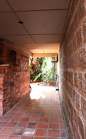 Casa para alugar com 338m², 5 quartos e 4 vagasCorredor Lateral