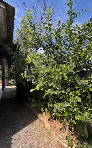Casa à venda com 90m², 2 quartos e 2 vagas Casa à venda com 90m², 2 quartos e 2 vagasÁrea comum