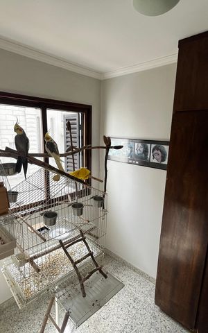 Apartamento à venda com 198m², 4 quartos e 3 vagasQuarto de Serviço