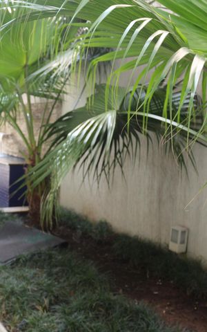 Apartamento à venda com 154m², 3 quartos e 3 vagasÁrea comum