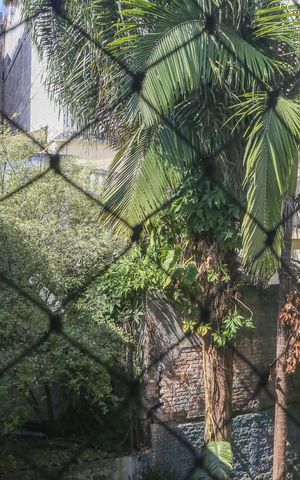Apartamento à venda com 110m², 3 quartos e sem vaga Apartamento à venda com 110m², 3 quartos e sem vagaVista da Área de Serviço