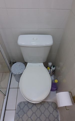 Apartamento à venda com 65m², 3 quartos e 2 vagasBanheiro Social