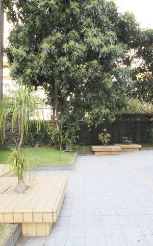 Apartamento para alugar com 62m², 2 quartos e sem vagaÁrea comum