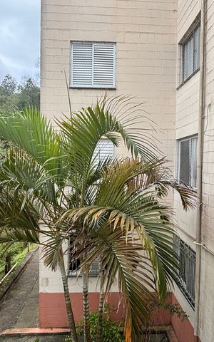Apartamento à venda com 52m², 2 quartos e 1 vaga Apartamento à venda com 52m², 2 quartos e 1 vagaVista do Quarto 1