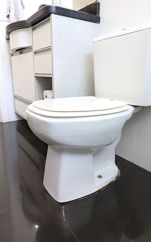 Apartamento à venda com 62m², 2 quartos e 1 vagaBanheiro Social