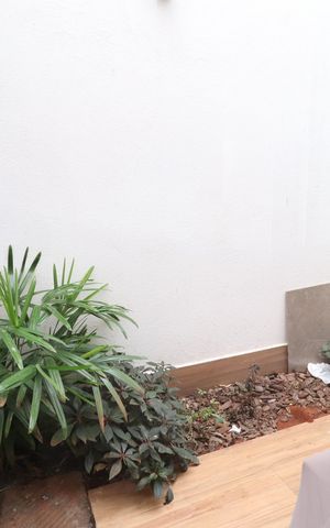 Casa para alugar com 170m², 4 quartos e 2 vagasJardim