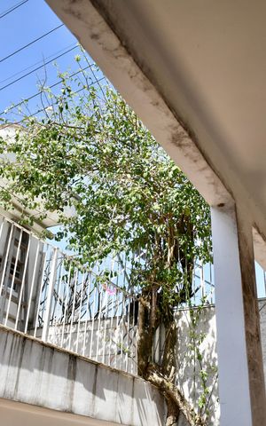Casa à venda com 190m², 3 quartos e 2 vagas Casa à venda com 190m², 3 quartos e 2 vagasQuintal