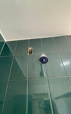 Casa de condomínio para alugar com 330m², 5 quartos e 2 vagas Casa de condomínio para alugar com 330m², 5 quartos e 2 vagasBanheiro Social