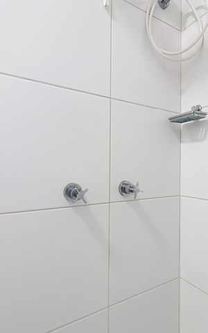 Apartamento à venda com 50m², 2 quartos e 1 vagaBanheiro - Registros