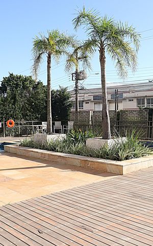 Apartamento à venda com 50m², 2 quartos e 1 vagaArea