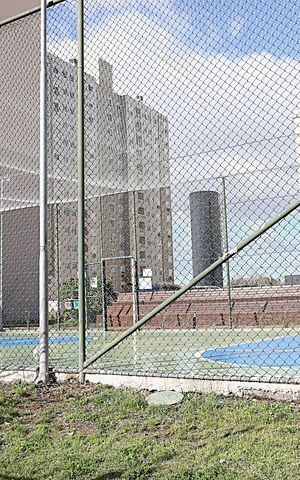 Apartamento à venda com 50m², 2 quartos e 1 vagaQuadra Esportiva