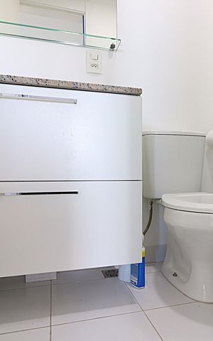 Apartamento à venda com 50m², 2 quartos e 1 vagaBanheiro - Móvel