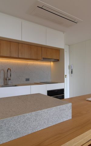 Studio para alugar com 53m², 1 quarto e 1 vagaCozinha