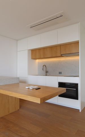 Studio para alugar com 53m², 1 quarto e 1 vagaCozinha