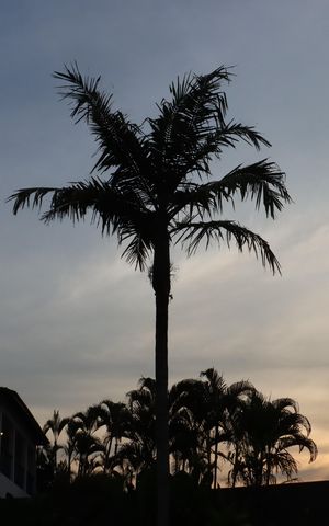 Casa de condomínio para alugar com 484m², 4 quartos e 3 vagasÁrea Externa
