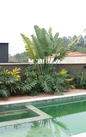 Casa de condomínio para alugar com 484m², 4 quartos e 3 vagasÁrea Externa
