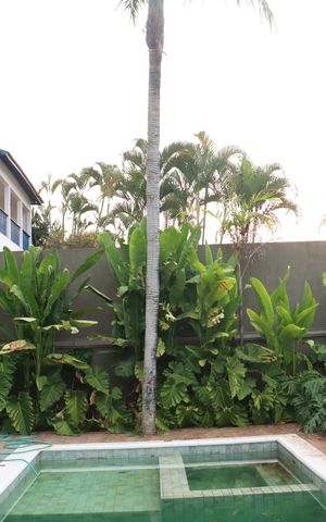 Casa de condomínio para alugar com 484m², 4 quartos e 3 vagasÁrea Externa