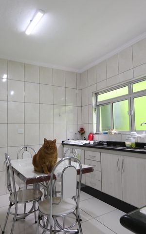 Casa à venda com 117m², 3 quartos e 2 vagasCozinha