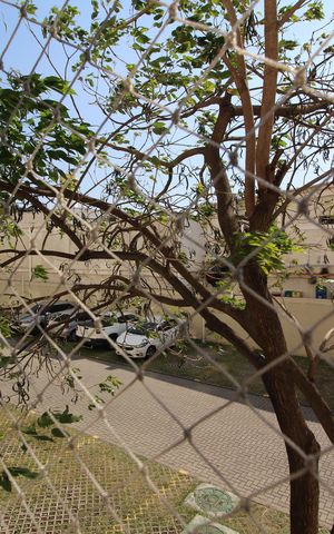 Apartamento à venda com 50m², 2 quartos e 1 vagaVista Varanda