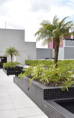 Studio para alugar com 28m², 1 quarto e sem vagaÁrea comum