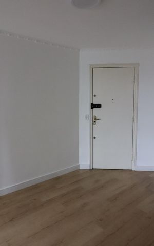 Apartamento para alugar com 55m², 2 quartos e 1 vagaSala