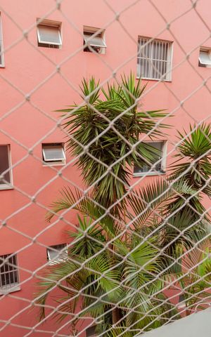 Apartamento para alugar com 55m², 2 quartos e 1 vagaVista da Área de Serviço
