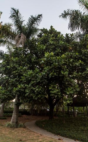 Casa de condomínio à venda com 703m², 4 quartos e 4 vagasÁrea comum