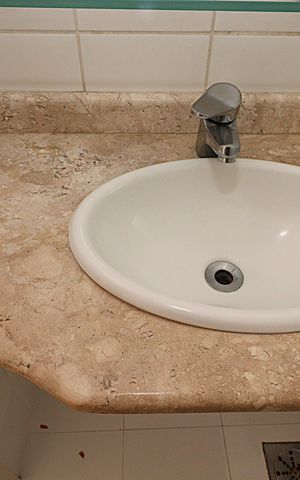 Apartamento para alugar com 183m², 3 quartos e 1 vagaBanheiro Social - Torneira